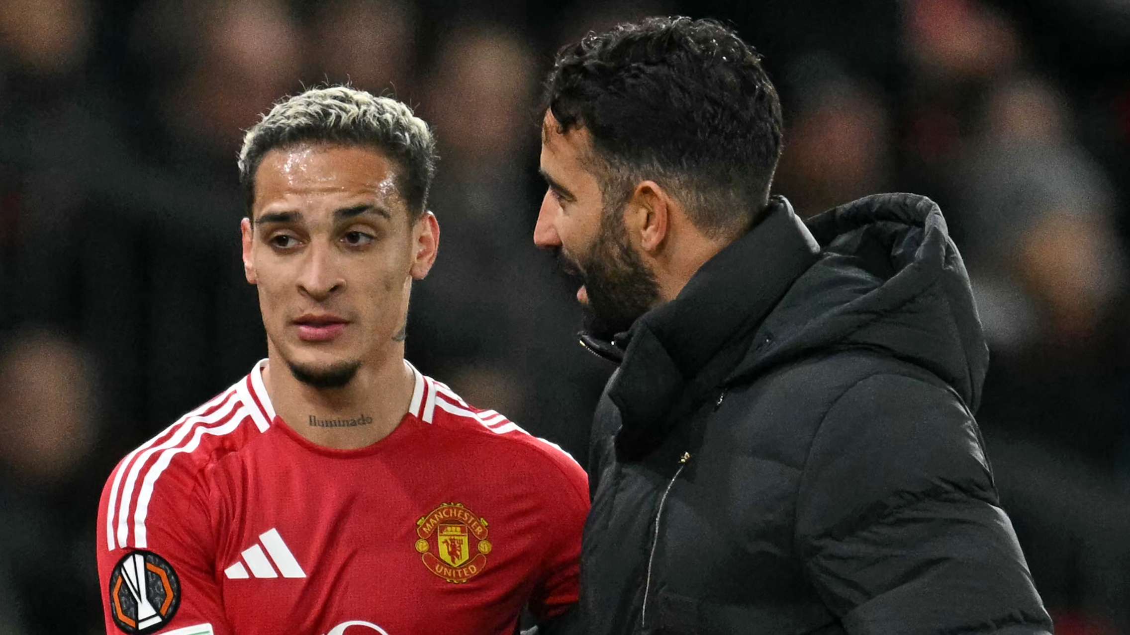 自己的职业 自己的职业